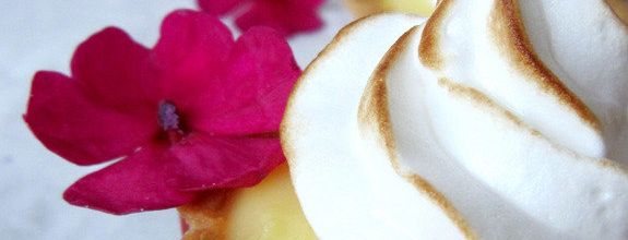 Tartelettes meringuées citron~pamplemousse