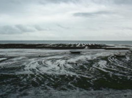 MAREE BASSE 