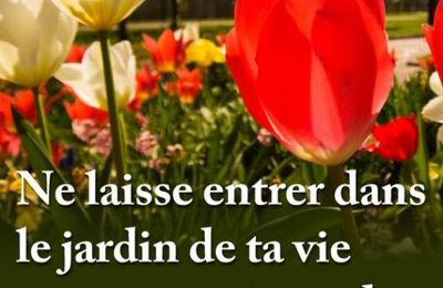Bon 1er dimanche du mois d'août!
