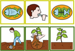 La relation cause à effet par l'image (Pictogrammes Arasaac)