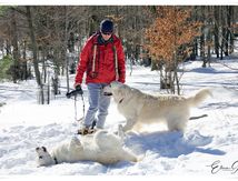 Le Bonheur est dans la neige