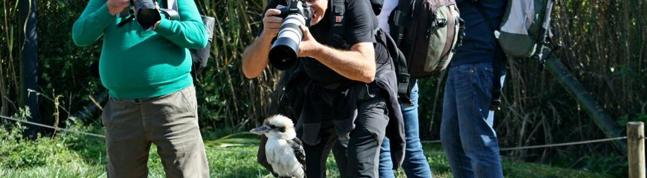 Le Parc des Oiseaux de Villars-les-Dombes