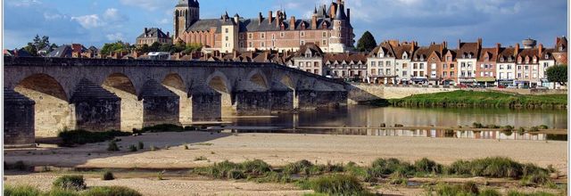 45 . Loiret - Gien (1) - Château de Gien