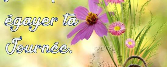 Proverbes illustrés