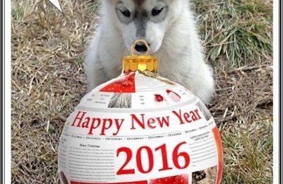 Bonne année (1er janvier 2016)