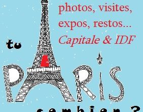 logo de la rubrique