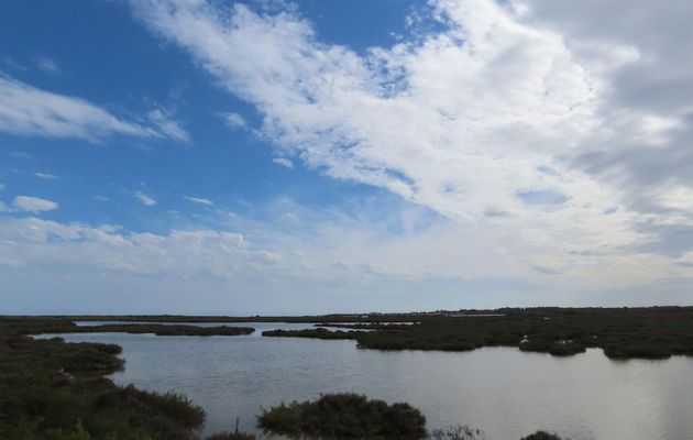 Portiragnes en bord de mer - 2
