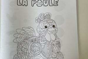 De l'oeuf à la poule