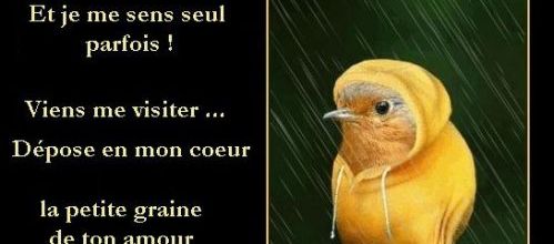 La seule existence des pauvres remet en cause ce système social -Bruno