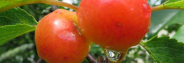 mes gouttes avec mon Canon