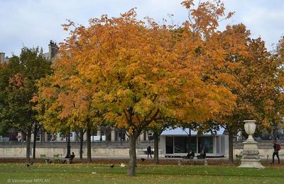 La photo du weekend : "Couleur d'automne"