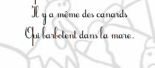 Le rock and roll des galinacées