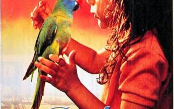 Paulie le perroquet - film de 1998 -