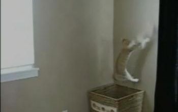 REGARDEZ CE CHAT SAUTER DU PANIER POUR Y METTRE LE LINGE SALE