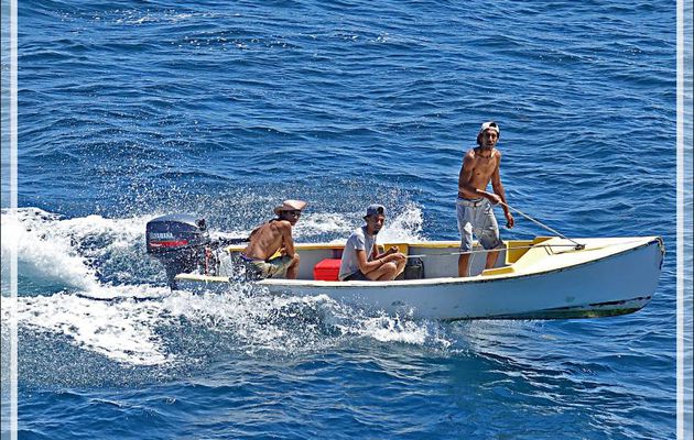 Rencontre lors de notre navigation entre les îles Aride et Praslin - Seychelles