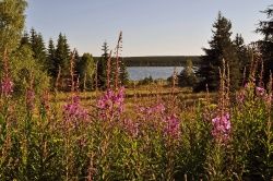 Le tour du lac...CHARPAL...