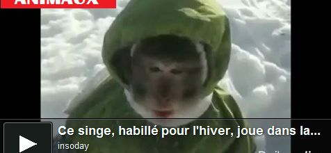 Russie : Ce singe, habillé pour l'hiver, joue dans la neige