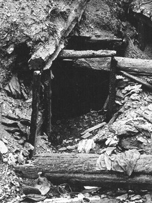 Le tunnel, roi de l'évasion ... 