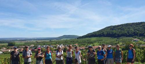 CR RANDO DES VIGNES BRULEY 04/09/2023