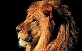 La chasse au lion (Charles-Louis Philippe)