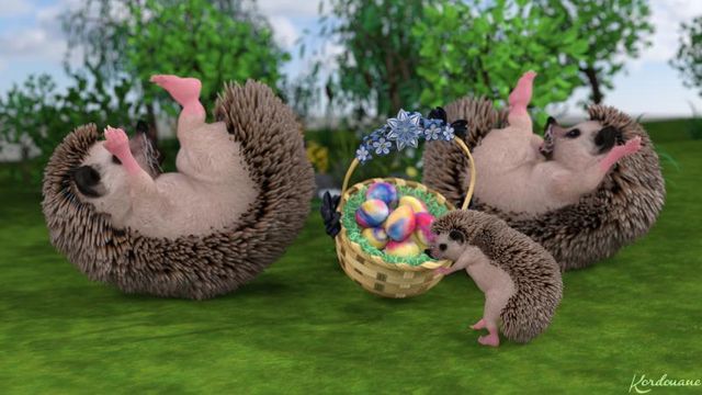 Fond d'écran : Les hérissons de Pâques (Fin)