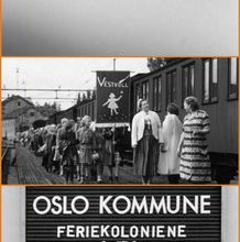 Sommerparadiset. 1954.