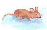 La souris verte GS