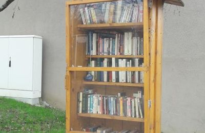 Une cabane à livres toujours bien remplie !