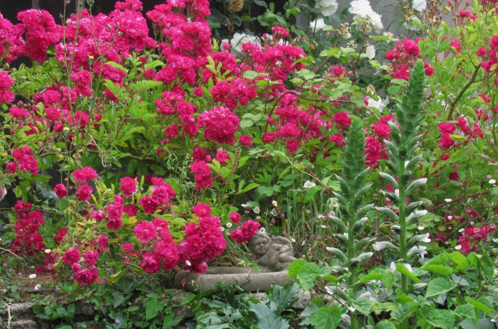 Un petit jardin sur la Terre