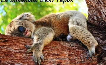 Le jour du repos