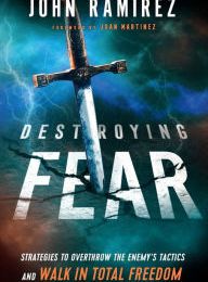 Free books to download for android phones Destroying Fear: Strategies to Overthrow the Enemy's Tactics and Walk in Total Freedom English version