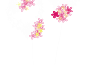 ✿*ﾟWhite flowers