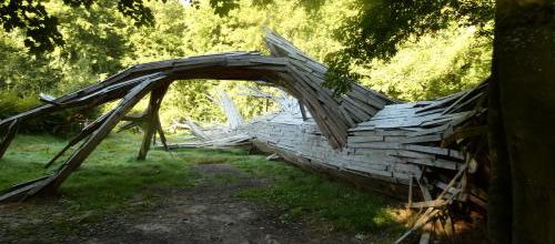 Foret monumentale de Mont saint aignan