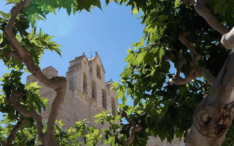 OC 2021 : Saintes Maries de la Mer : loin de la foule. (1)