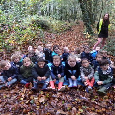 Sortie pédagogique au bois