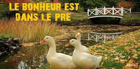 Le bonheur est dans le pré