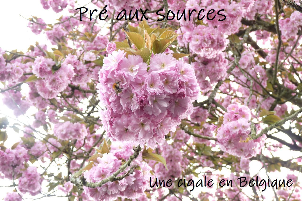 Header cover