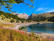 Arrière saison pour les marmottes.