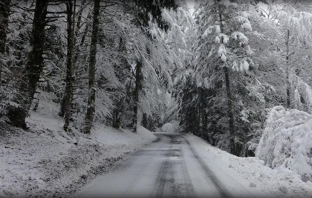 La route des courses