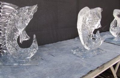 20ème concours de sculptures sur glace à Andernos : les plus jolies oeuvres...