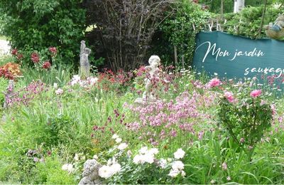 Mon jardin sauvage