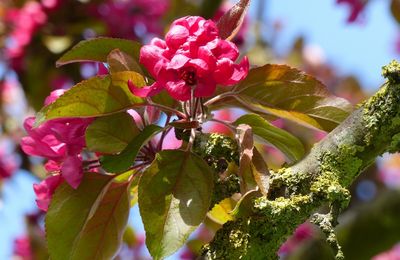 Joyeuses Fêtes de Pâques 