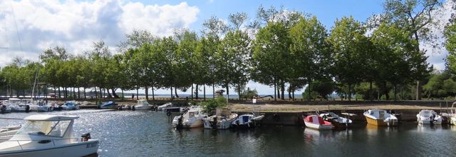 Parentis en Born - 4