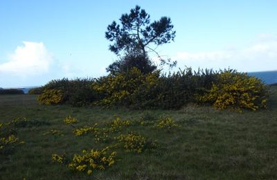 Jean qui rit, Jean qui pleure ou les giboulées de mars sur la cote