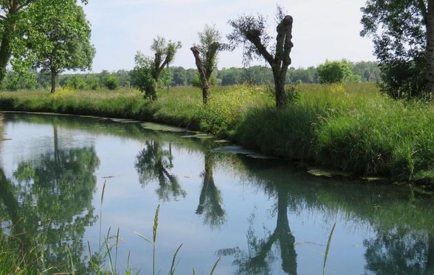 Reflets en Mai (dept17)  défi
