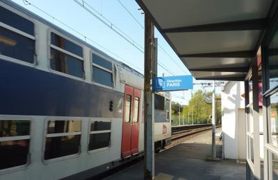 ☻ Symphonie en bleu et jaune pour Générations 13