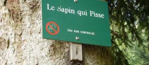 Curiosité de la nature 