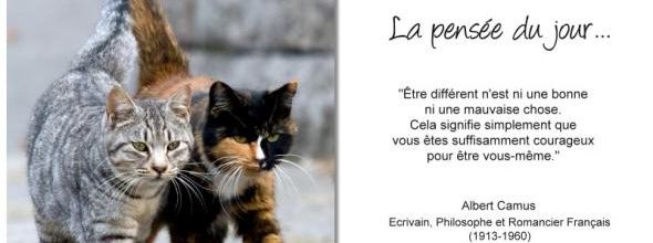 La pensée du jour (116)