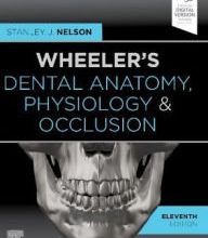 Download epub books online free Wheeler's Dental Anatomy, Physiology and Occlusion / Edition 11 9780323638784