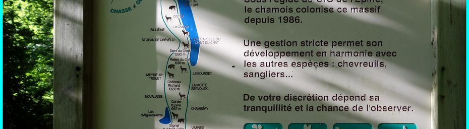 La chaîne de l'Épine du col du Chat au col du Crucifix